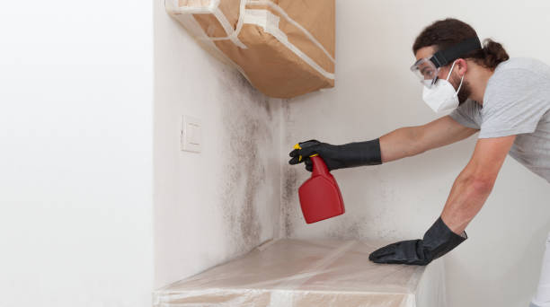 Professional Mold Testing technician working in Robbinsville, NJ