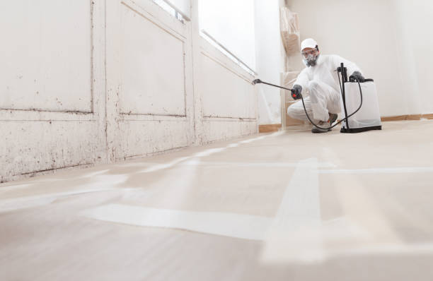 24/7 Emergency Mold Testing experts in Robbinsville, NJ